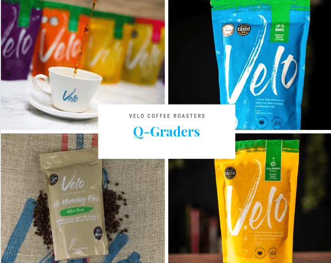 The Role of Q Graders in the Coffee Industry - Velo Coffee Roasters