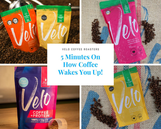 5 Minutes On How Coffee Wakes You Up! - Velo Coffee Roasters