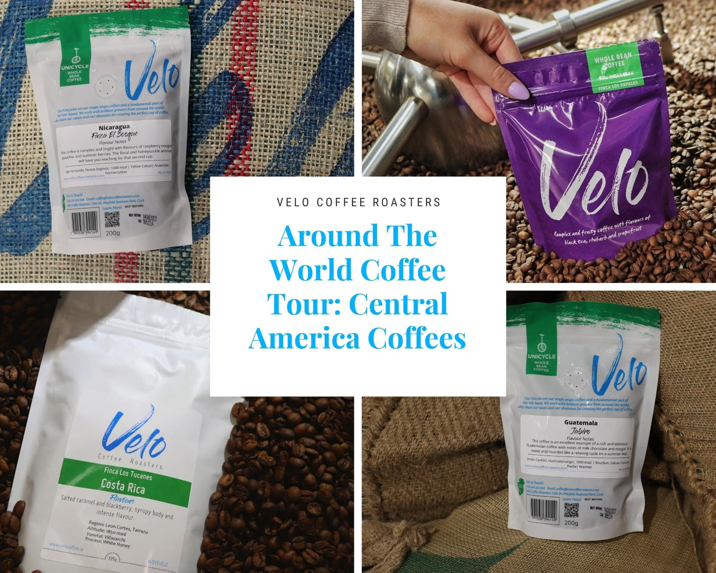 Around The World Coffee Tour: Central America - Velo Coffee Roasters