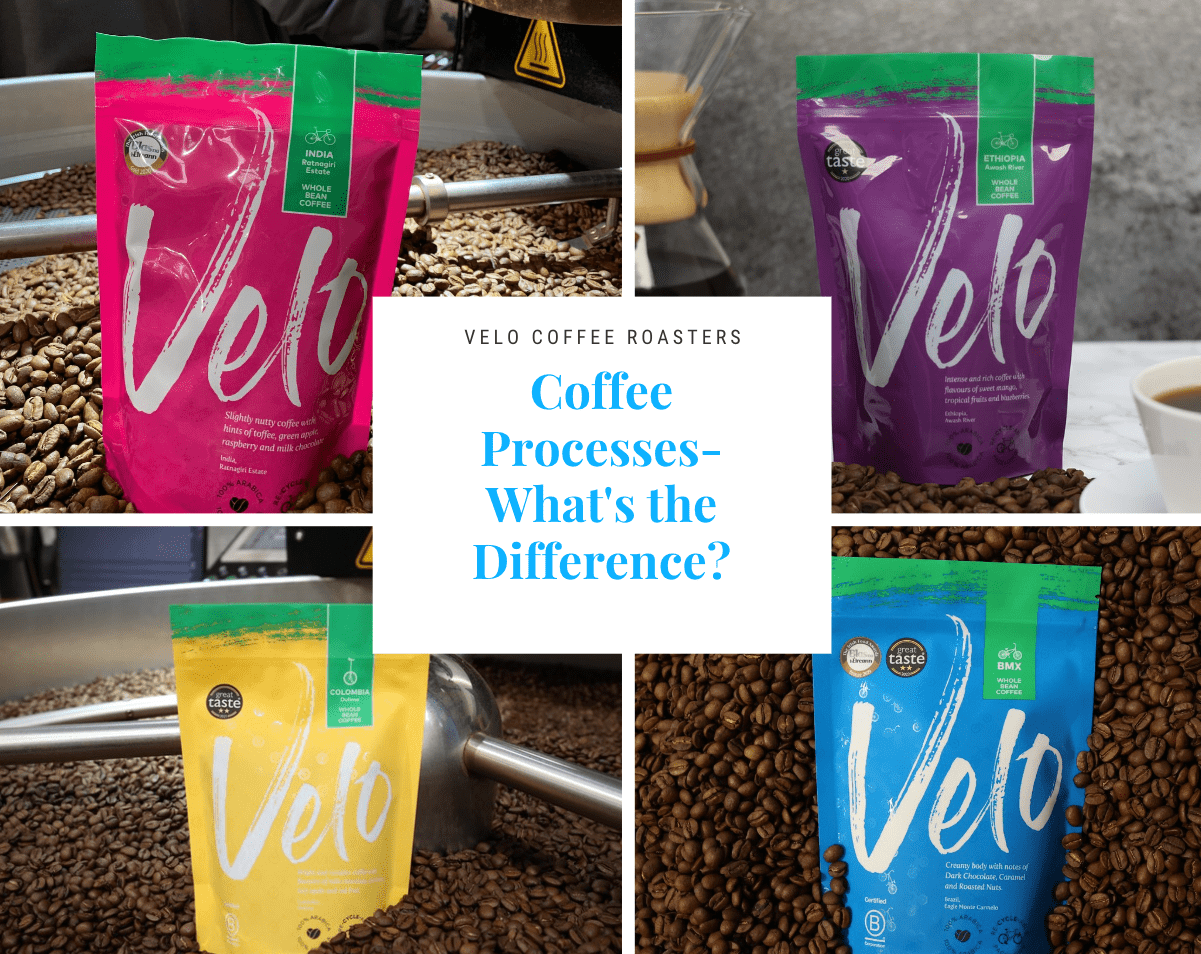 Coffee Processes - What's The Difference? - Velo Coffee Roasters