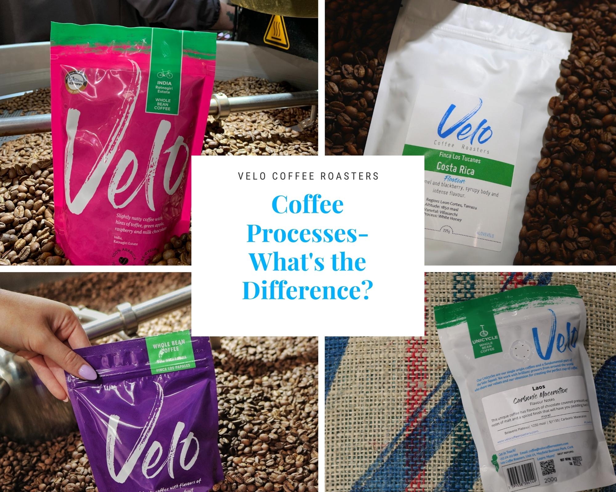 Coffee Processes - What's The Difference? - Velo Coffee Roasters