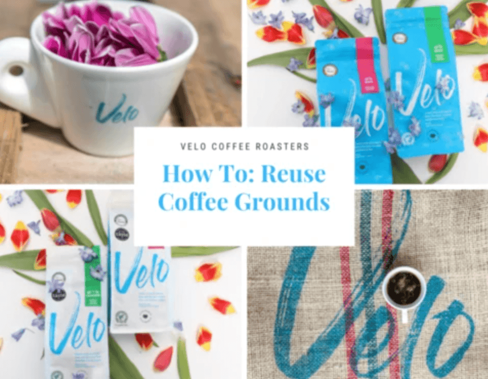 How to: Reuse Coffee Grounds - Velo Coffee Roasters