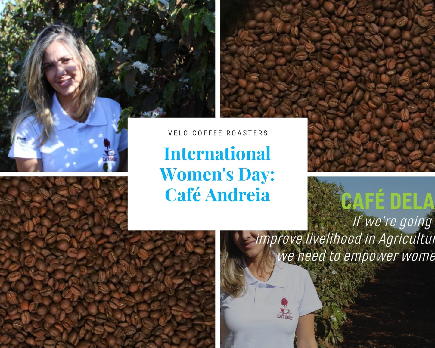 International Women's Day: Café Andreia - Velo Coffee Roasters