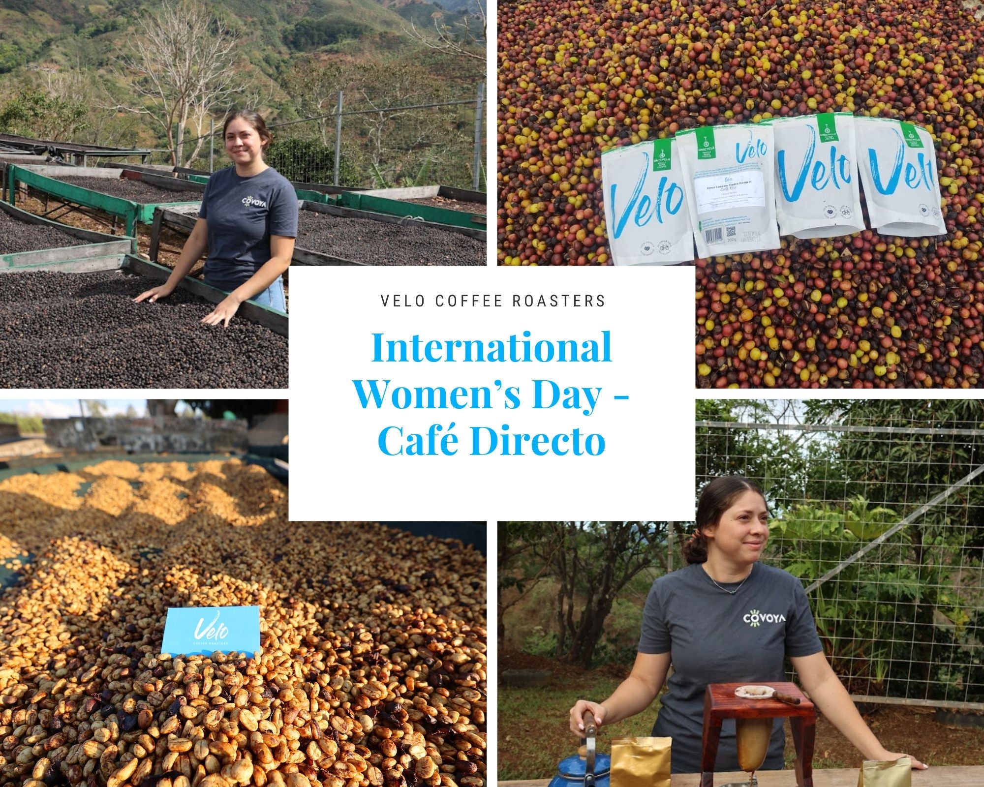 International Women's Day - Café Directo - Velo Coffee Roasters