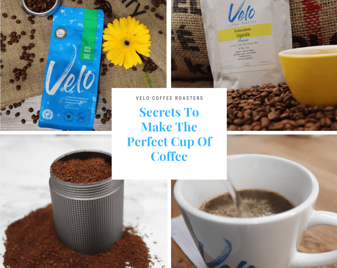 Secrets to Make the Perfect Cup of Coffee - Velo Coffee Roasters