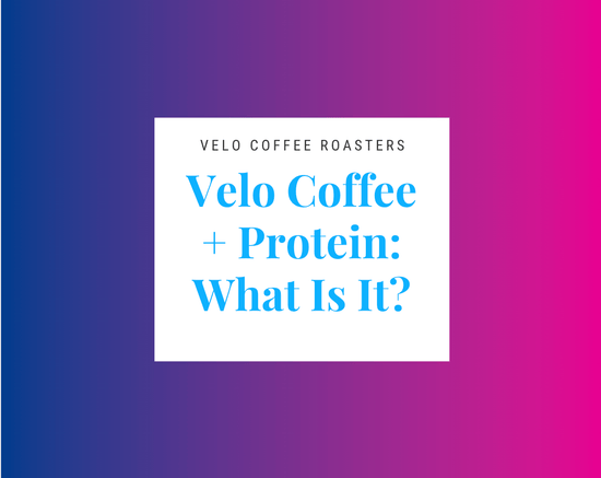 Velo Coffee + Protein: What Is It? - Velo Coffee Roasters