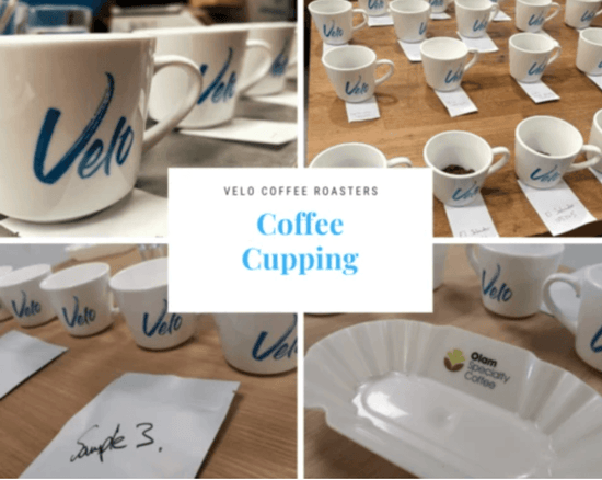 What is Coffee Cupping? - Velo Coffee Roasters