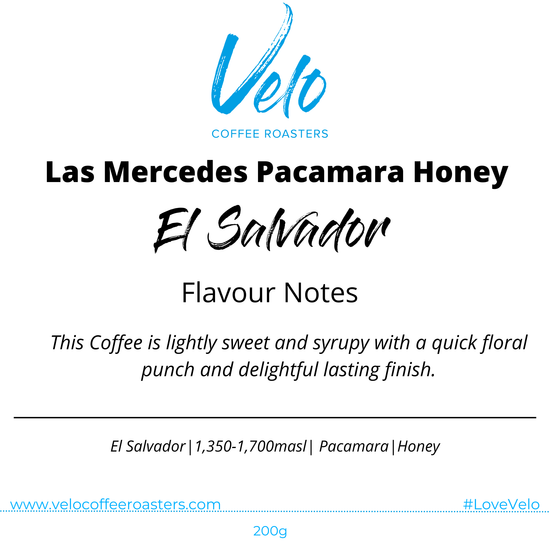 Las Mercedes Pacamara Honey 200g Coffee Bag - El Salvador - Velo Coffee Roasters